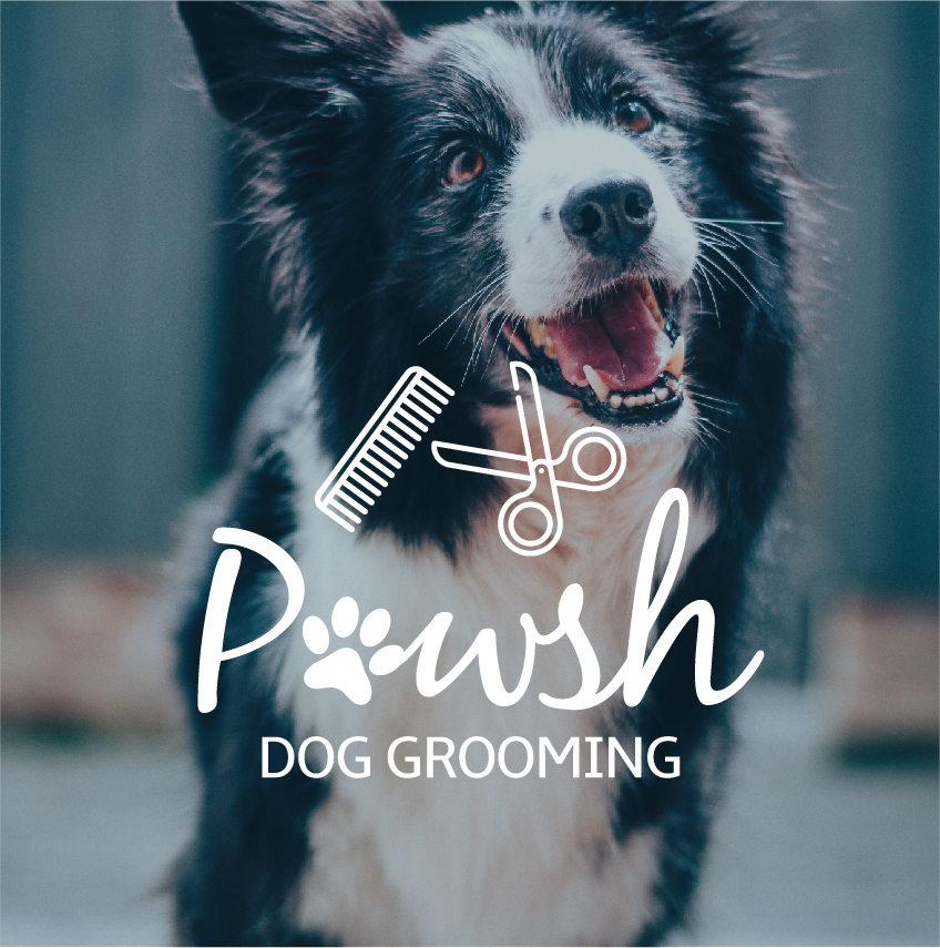 Pawsh Dog Grooming